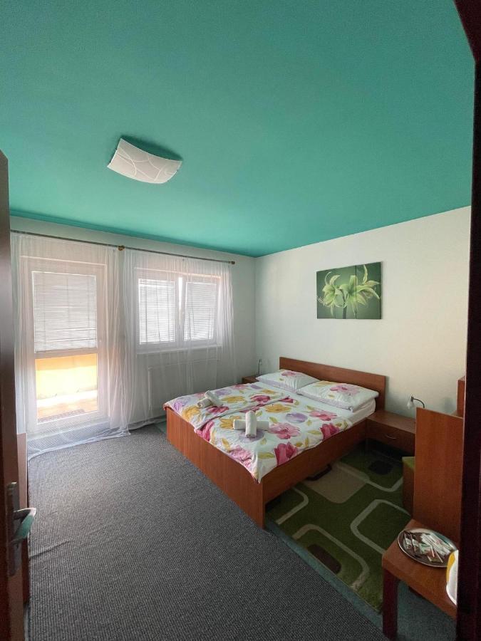 Apartmany, Penzion, Wellness U Zlate Rybky Vyskov Exterior photo