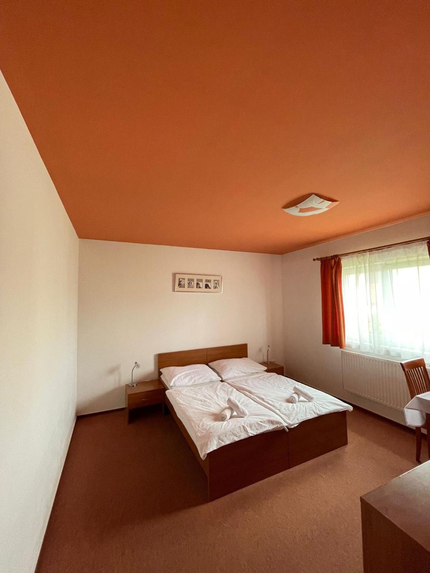 Apartmany, Penzion, Wellness U Zlate Rybky Vyskov Exterior photo