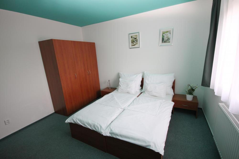 Apartmany, Penzion, Wellness U Zlate Rybky Vyskov Exterior photo