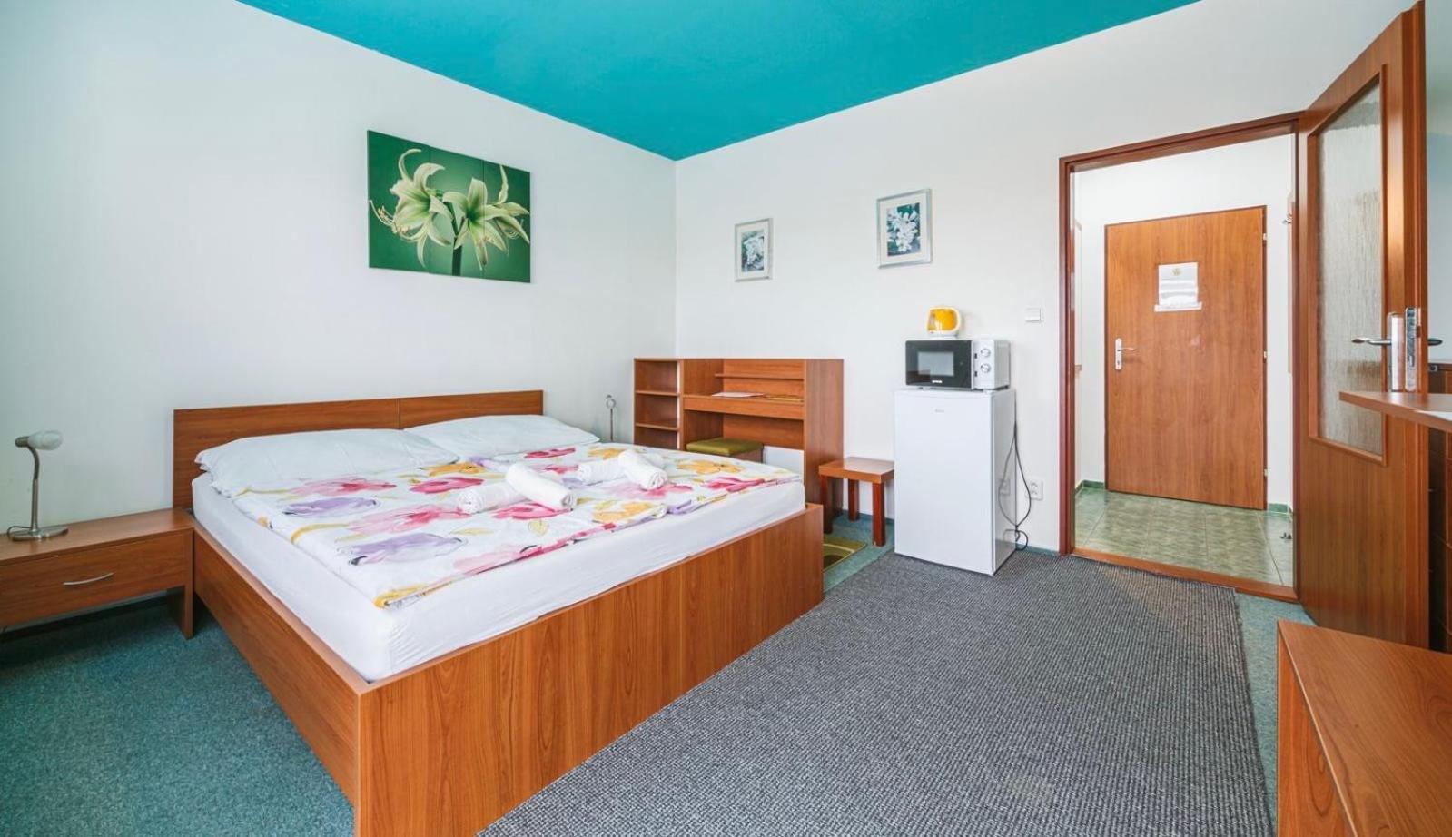 Apartmany, Penzion, Wellness U Zlate Rybky Vyskov Exterior photo