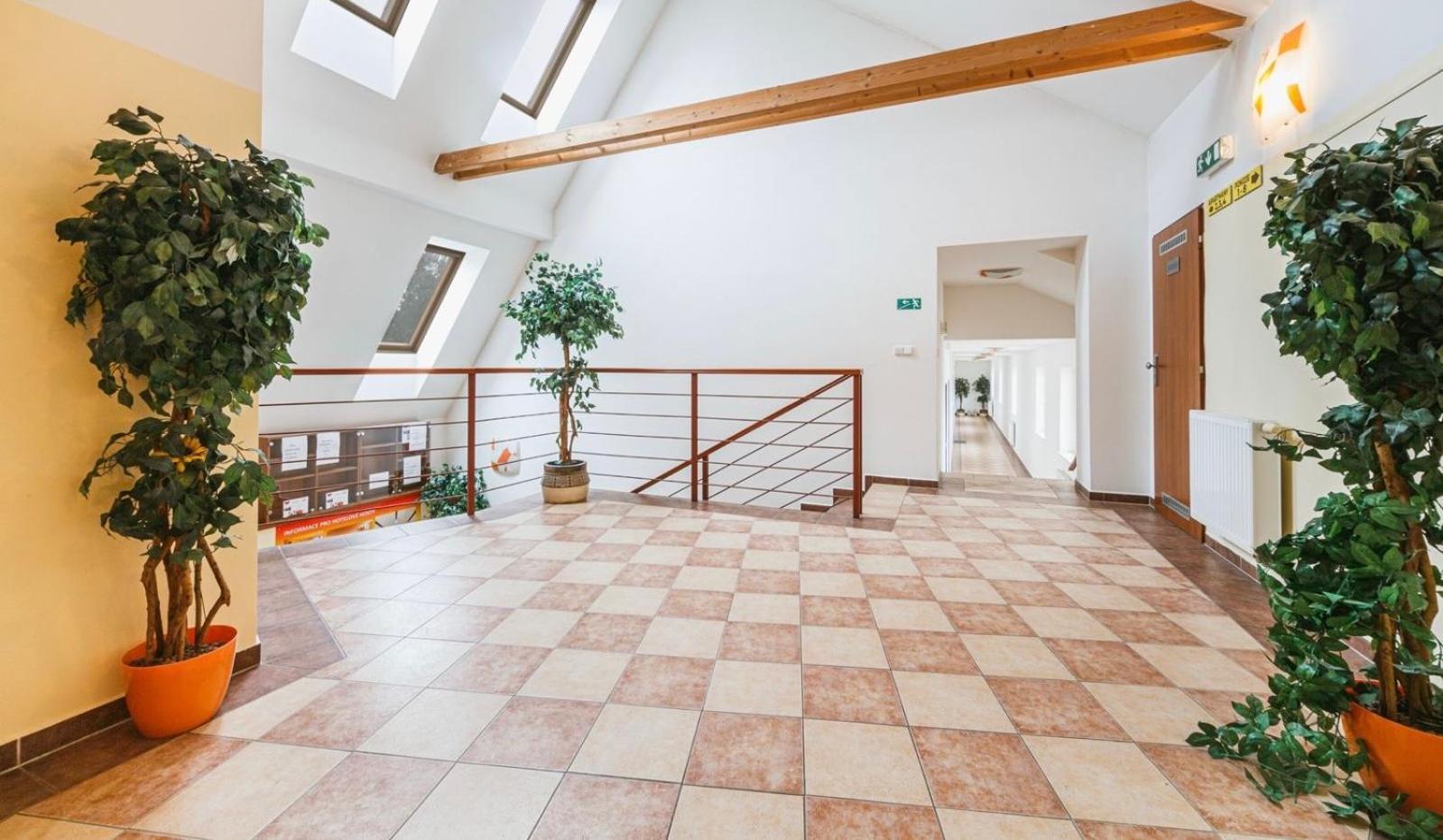 Apartmany, Penzion, Wellness U Zlate Rybky Vyskov Exterior photo